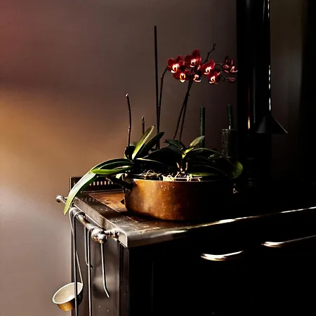 Bed & Breakfast Casa Trambasore