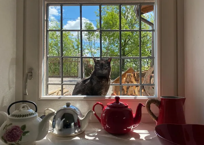 Bed & Breakfast Casa Trambasore