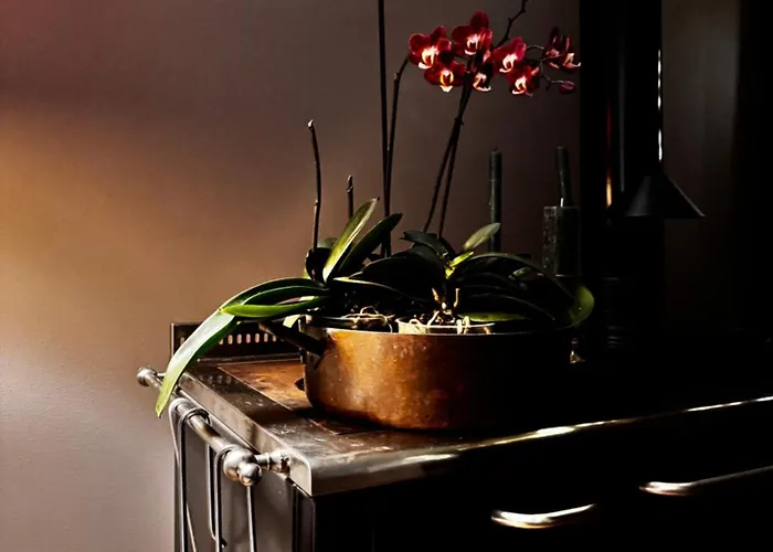 Bed & Breakfast Casa Trambasore